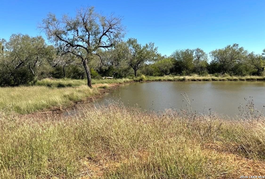 3968 Bluntzer Road Jourdanton TX 78026