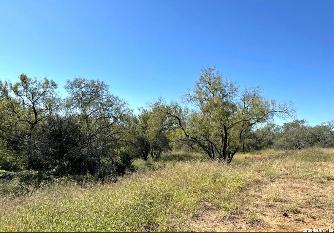 3968 Bluntzer Road Jourdanton TX 78026