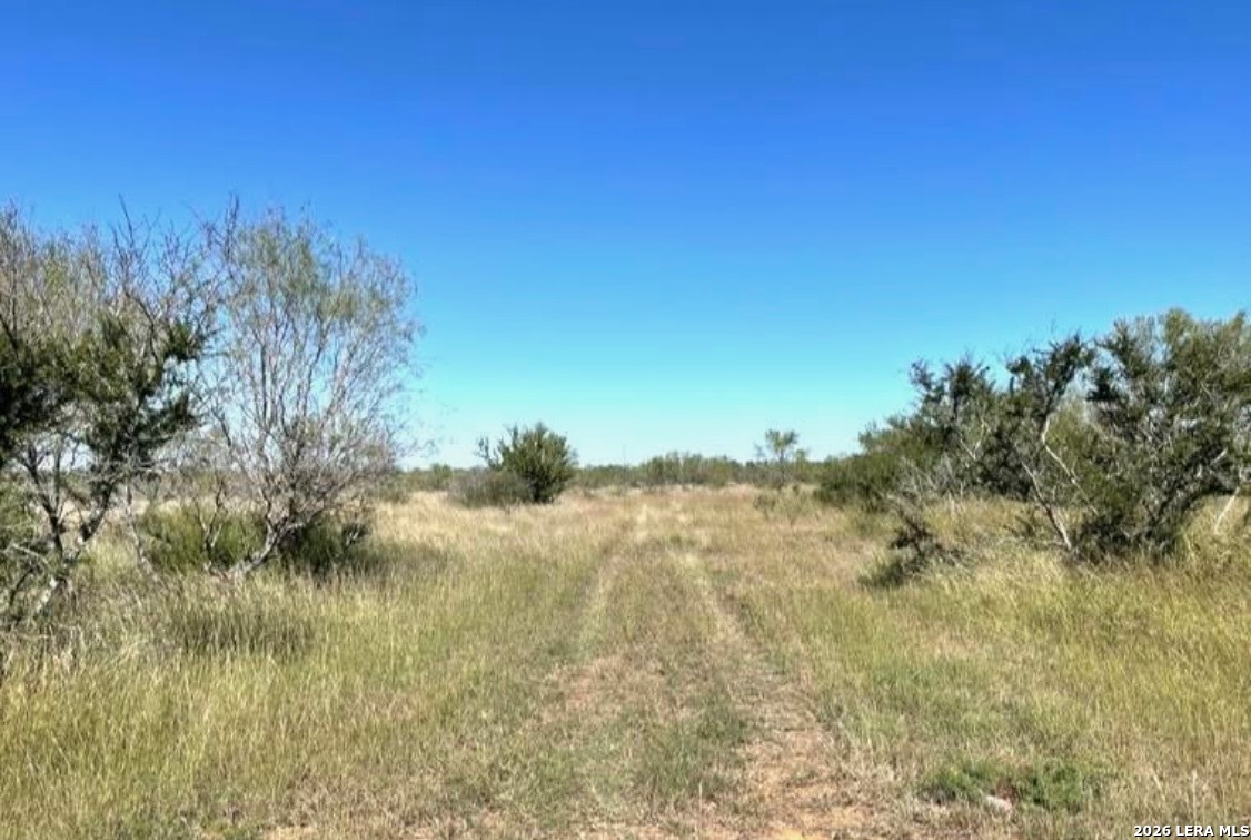 3968 Bluntzer Road Jourdanton TX 78026