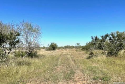 3968 Bluntzer Road Jourdanton TX 78026