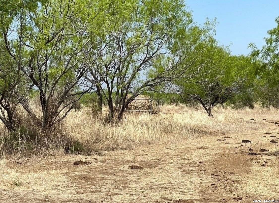 3968 Bluntzer Road Jourdanton TX 78026