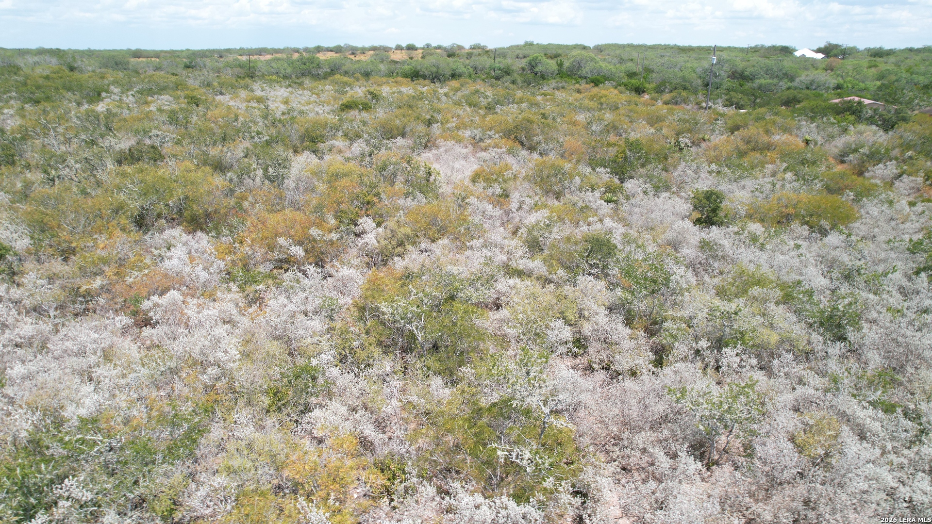 12654 Highway 339 Benavides TX 78349