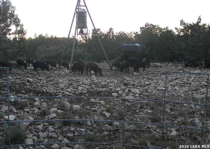 000 No Name Rocksprings TX 78880