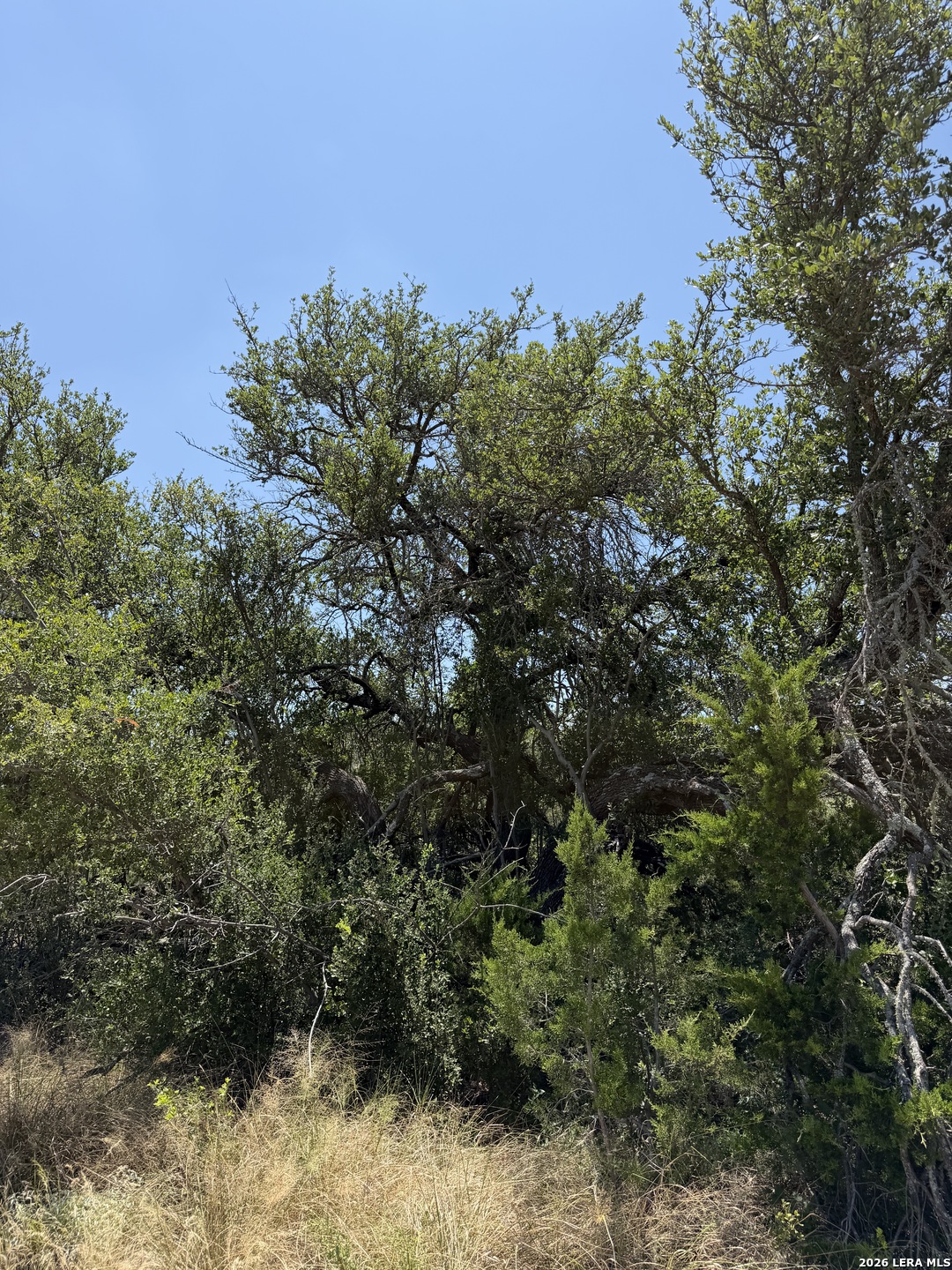 Tbd Sd 45425 Rocksprings TX 78880