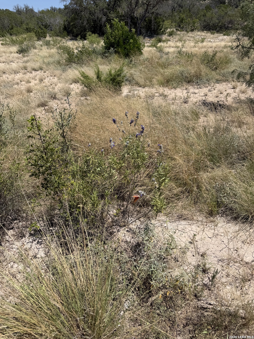 Tbd Sd 45425 Rocksprings TX 78880