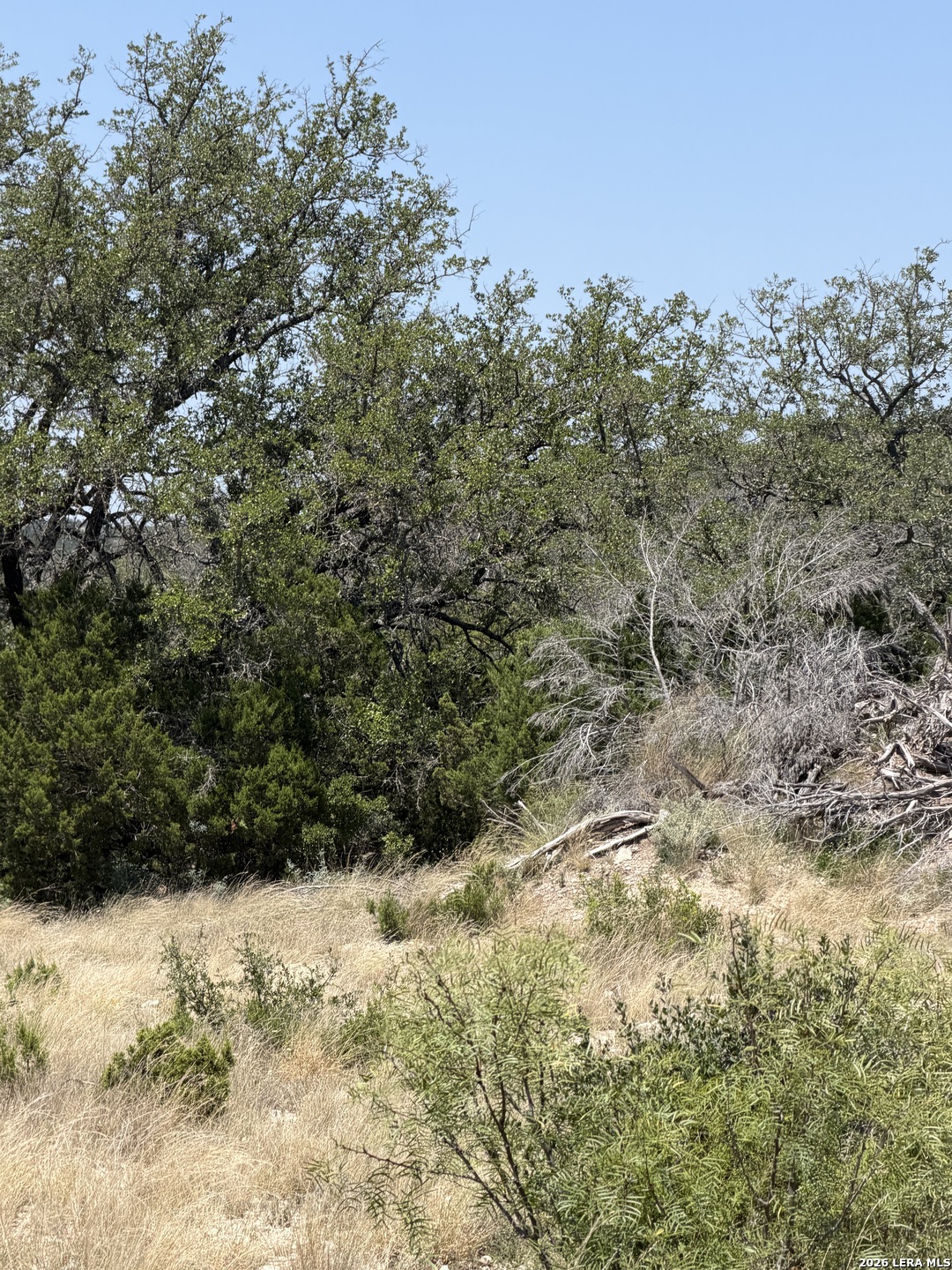 Tbd Sd 45425 Rocksprings TX 78880