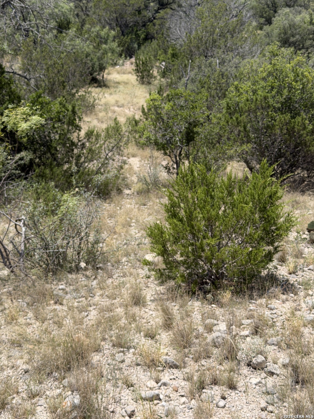 Tbd Sd 45425 Rocksprings TX 78880