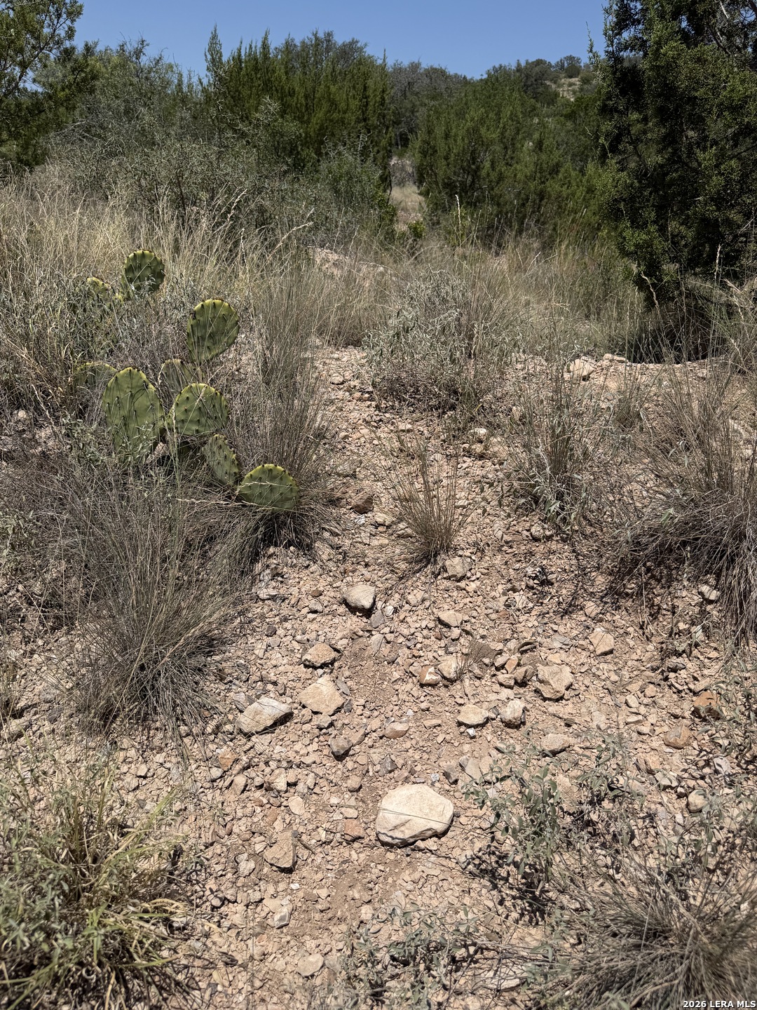 Tbd Sd 45425 Rocksprings TX 78880