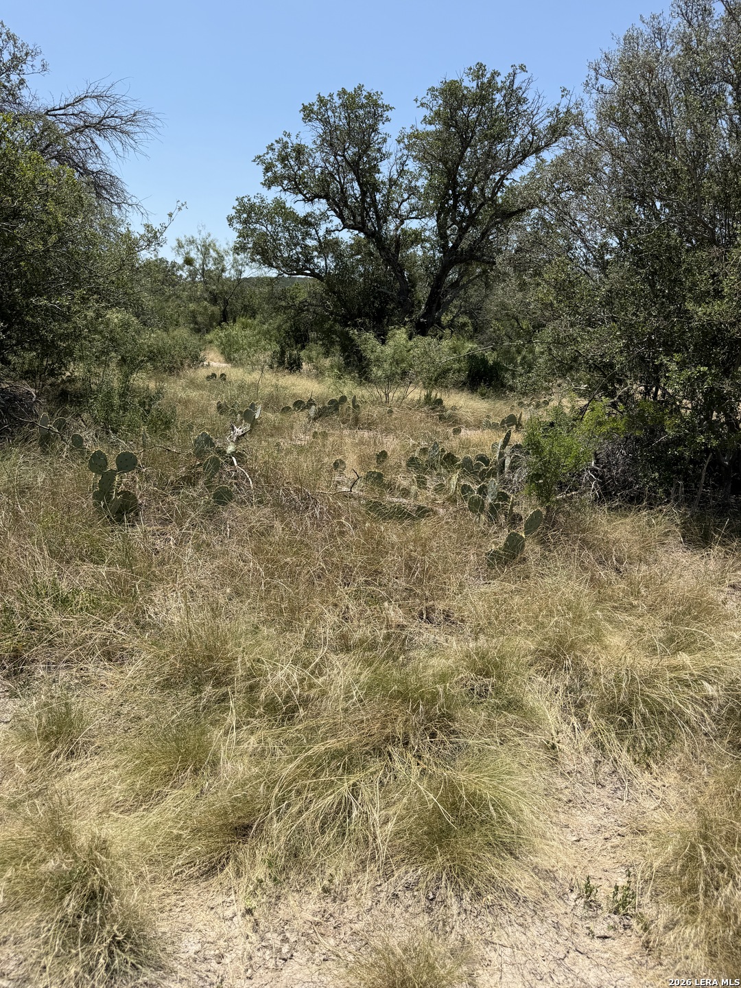 Tbd Sd 45425 Rocksprings TX 78880