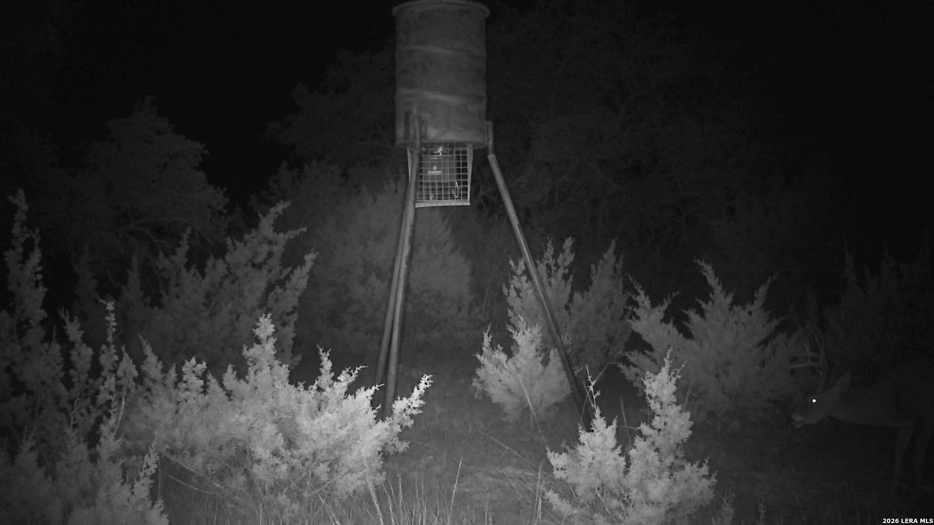 Tbd Sd 45425 Rocksprings TX 78880