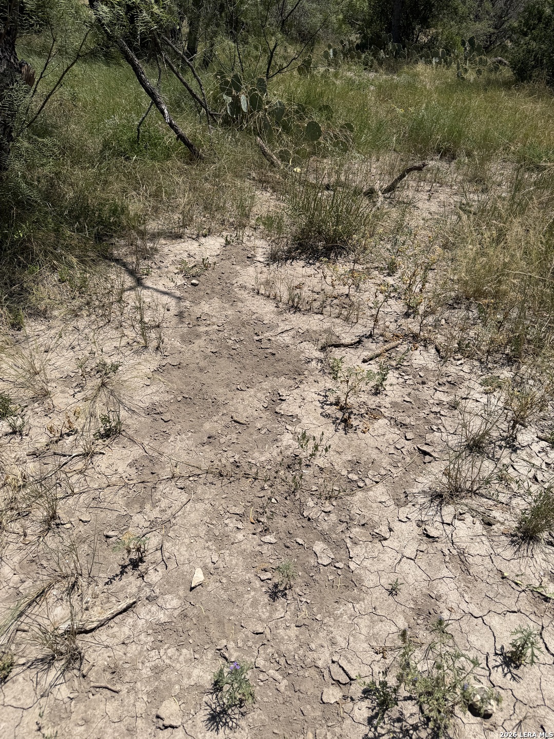 Tbd Sd 45425 Rocksprings TX 78880