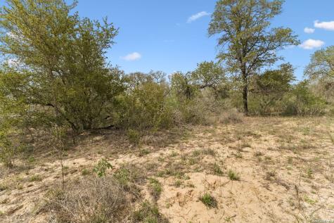 174 Adcock Lane Somerset TX 78069