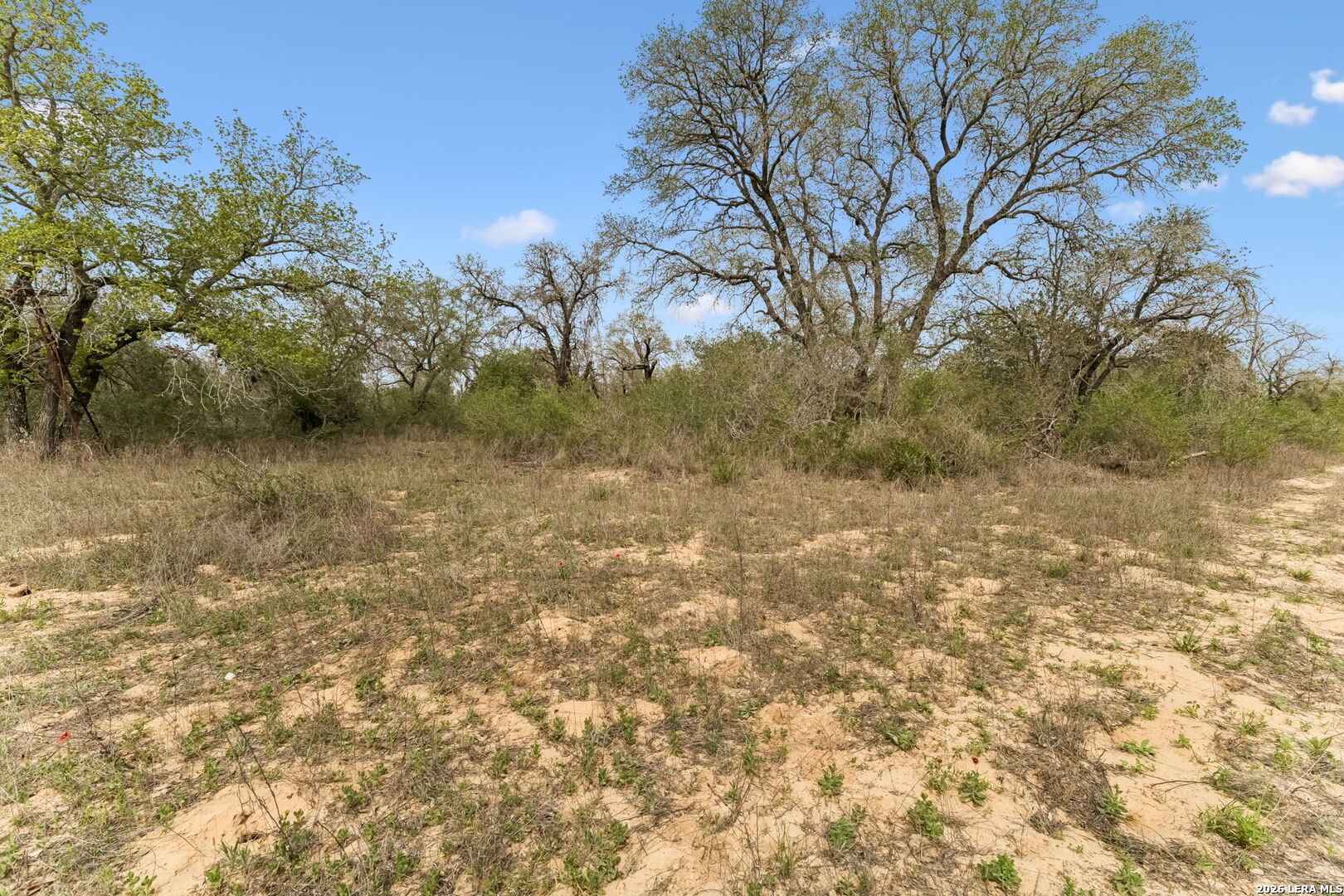 174 Adcock Lane Somerset TX 78069
