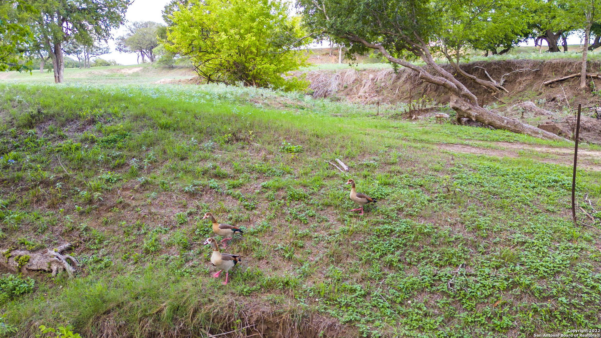 Tract 5 46 Fm 1621 Comfort TX 78013