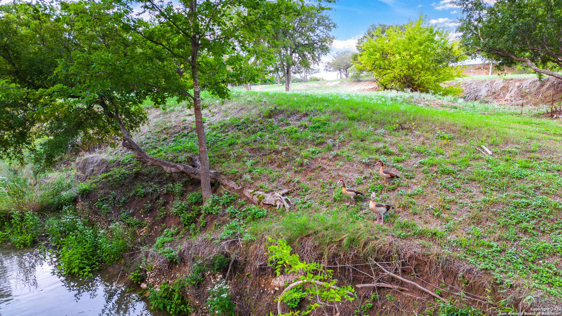 Tract 5 46 Fm 1621 Comfort TX 78013