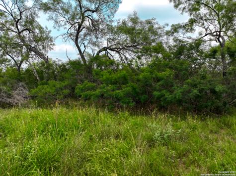 0000 Count Road 5232 Dhanis TX 78850