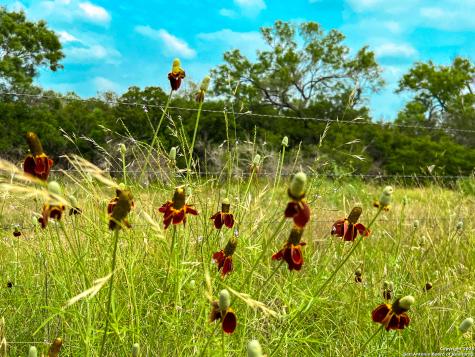 0000 Count Road 5232 Dhanis TX 78850