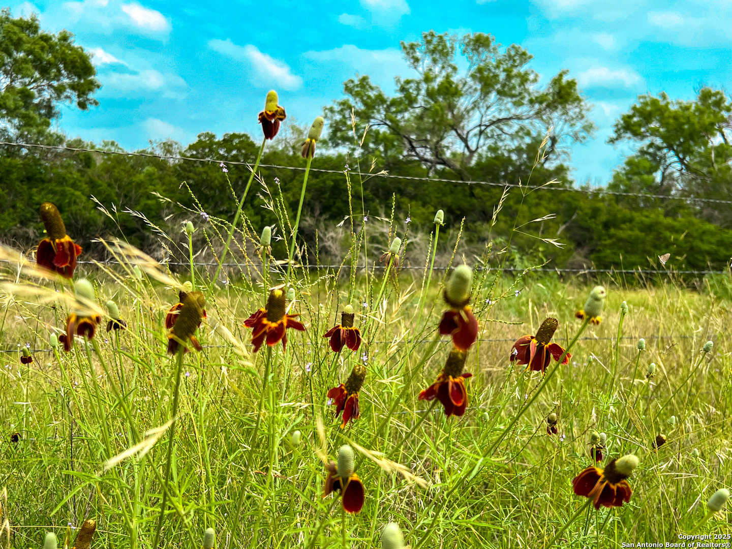 0000 Count Road 5232 Dhanis TX 78850