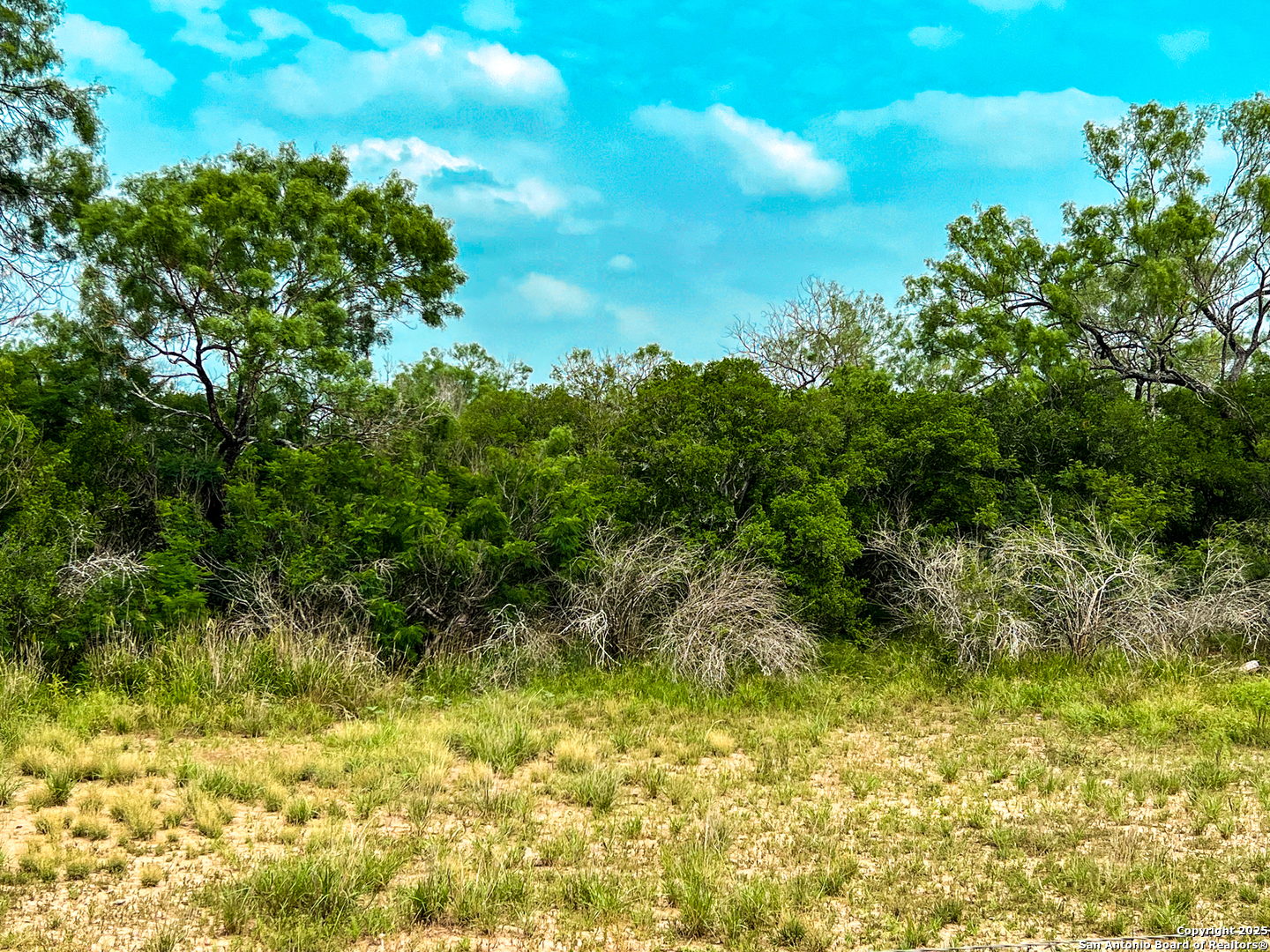 0000 Count Road 5232 Dhanis TX 78850