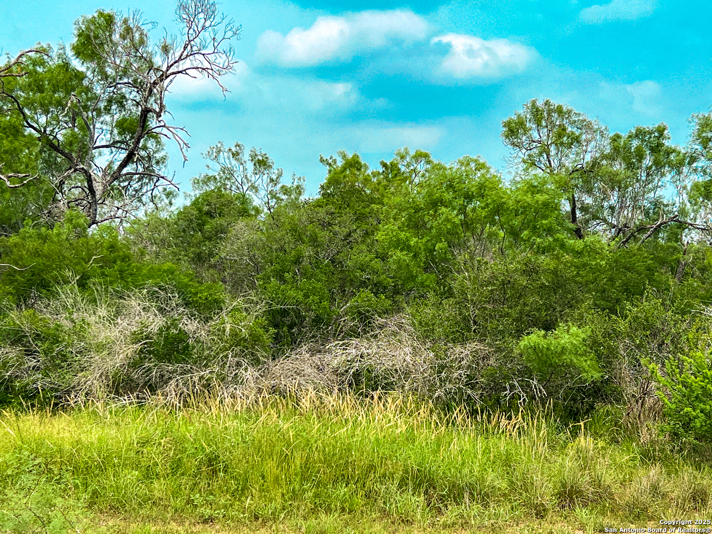 0000 Count Road 5232 Dhanis TX 78850