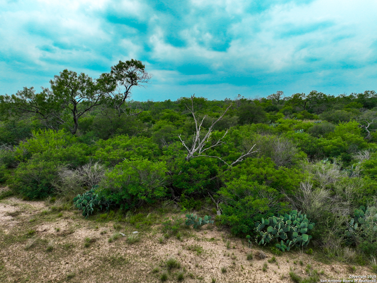 0000 Count Road 5232 Dhanis TX 78850