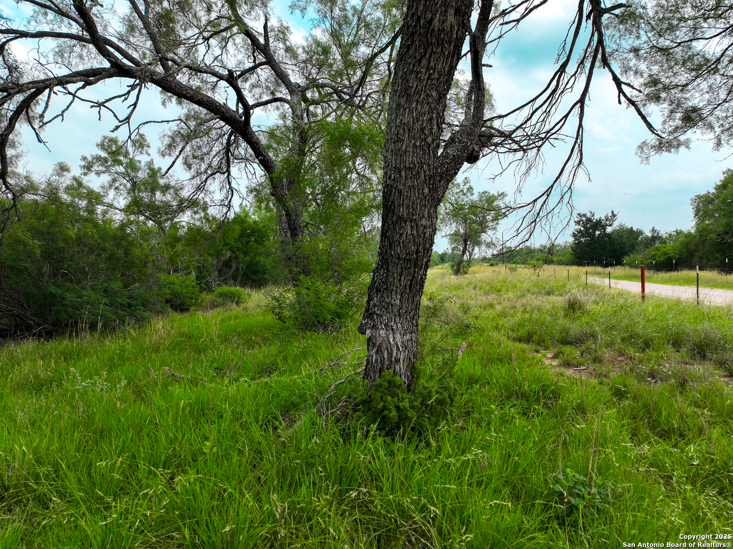 0000 Count Road 5232 Dhanis TX 78850