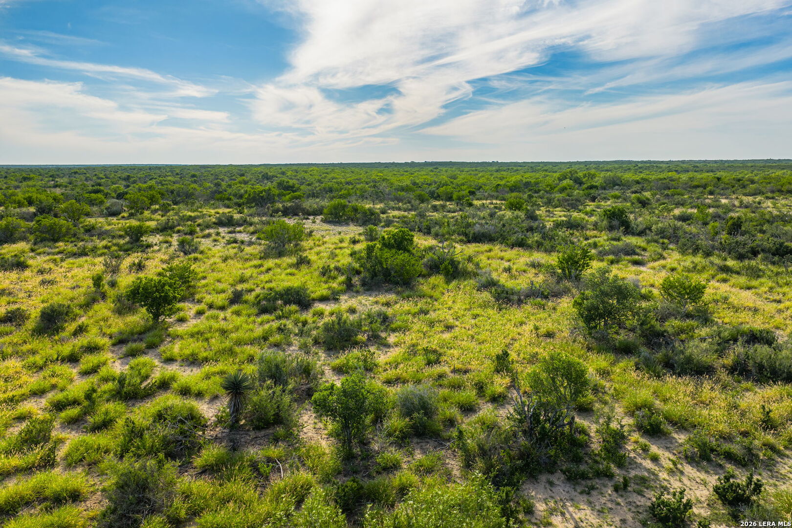 2750 Fm 624 Tilden TX 78072