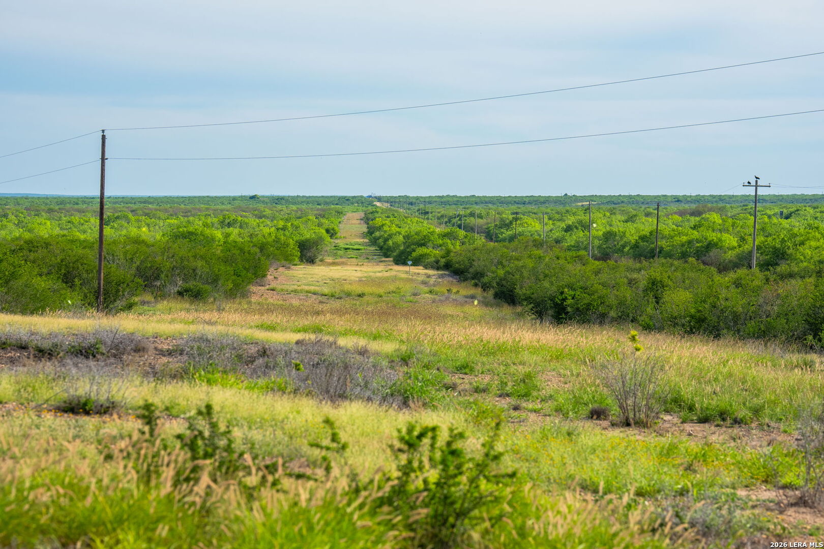 2750 Fm 624 Tilden TX 78072