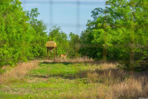 2750 Fm 624 Tilden TX 78072