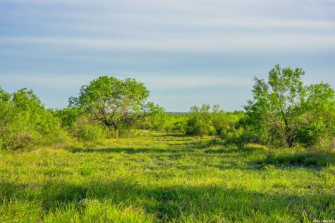 2750 Fm 624 Tilden TX 78072