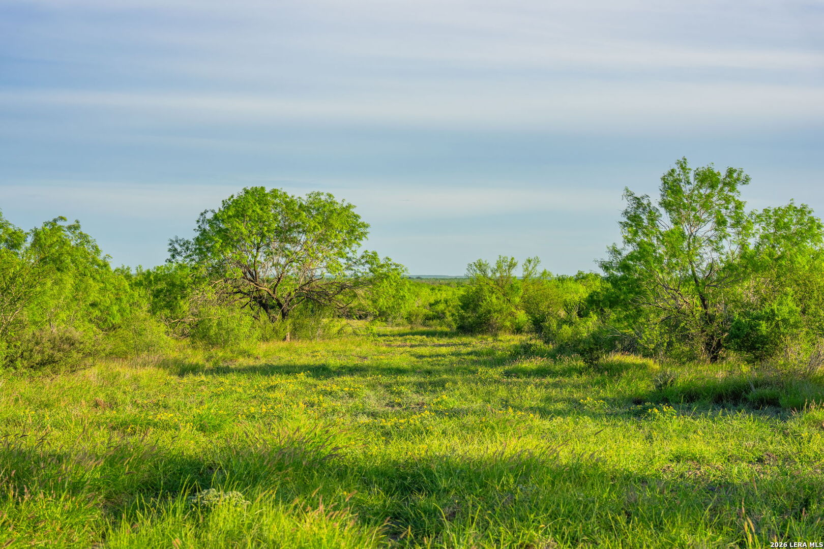 2750 Fm 624 Tilden TX 78072