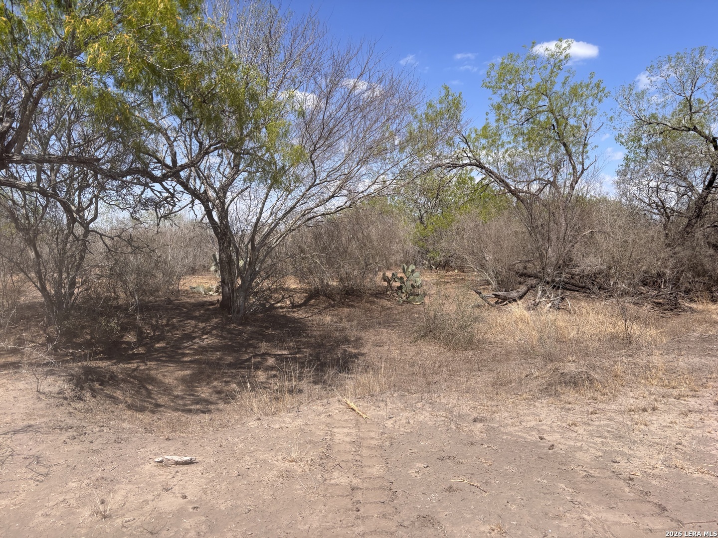 00 Cr 103 San Diego TX 78384
