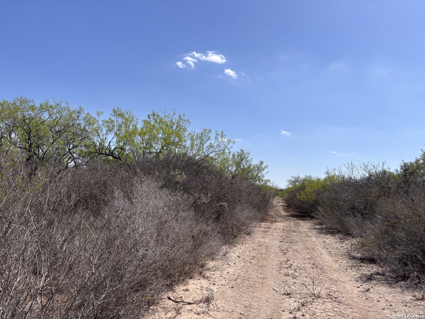 00 Cr 103 San Diego TX 78384