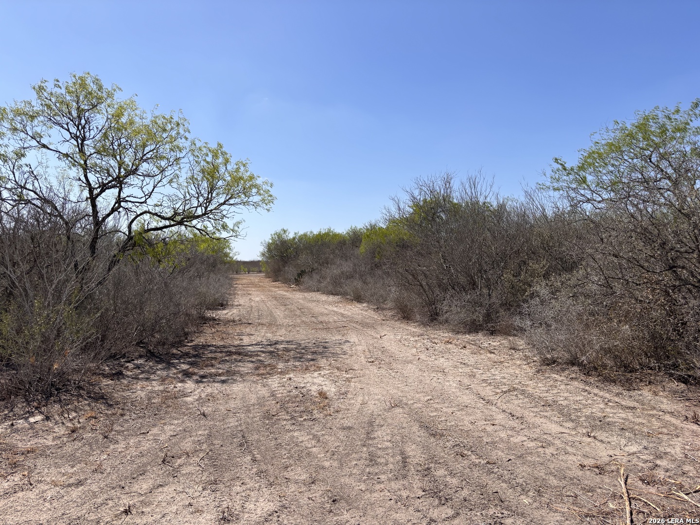 00 Cr 103 San Diego TX 78384