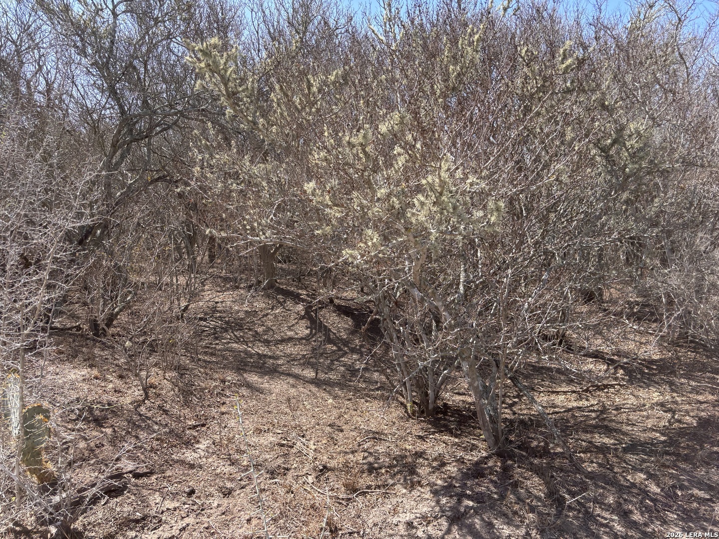 00 Cr 103 San Diego TX 78384