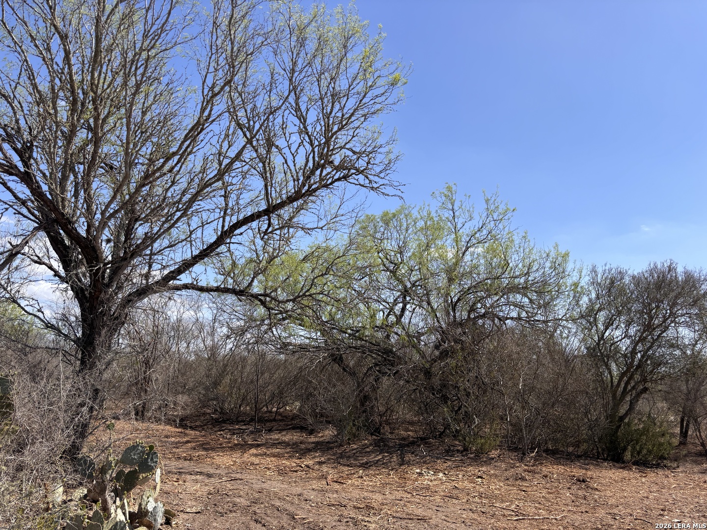 00 Cr 103 San Diego TX 78384