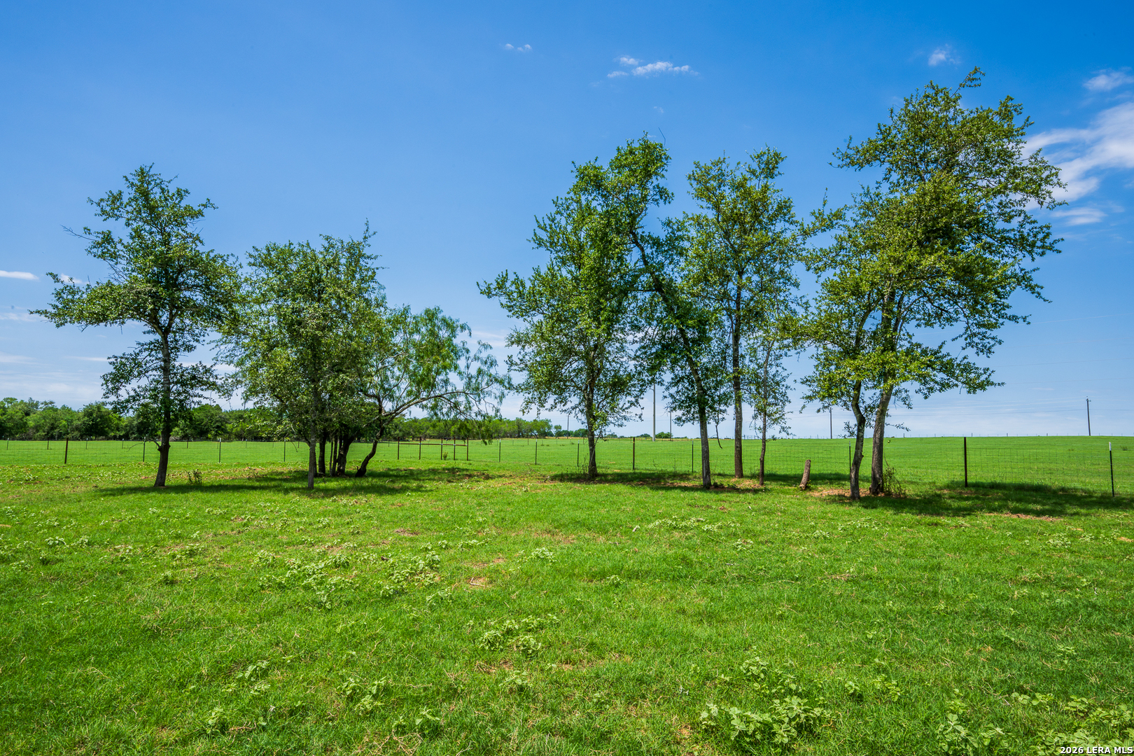 11259 N State Highway 80 Leesville TX 78122