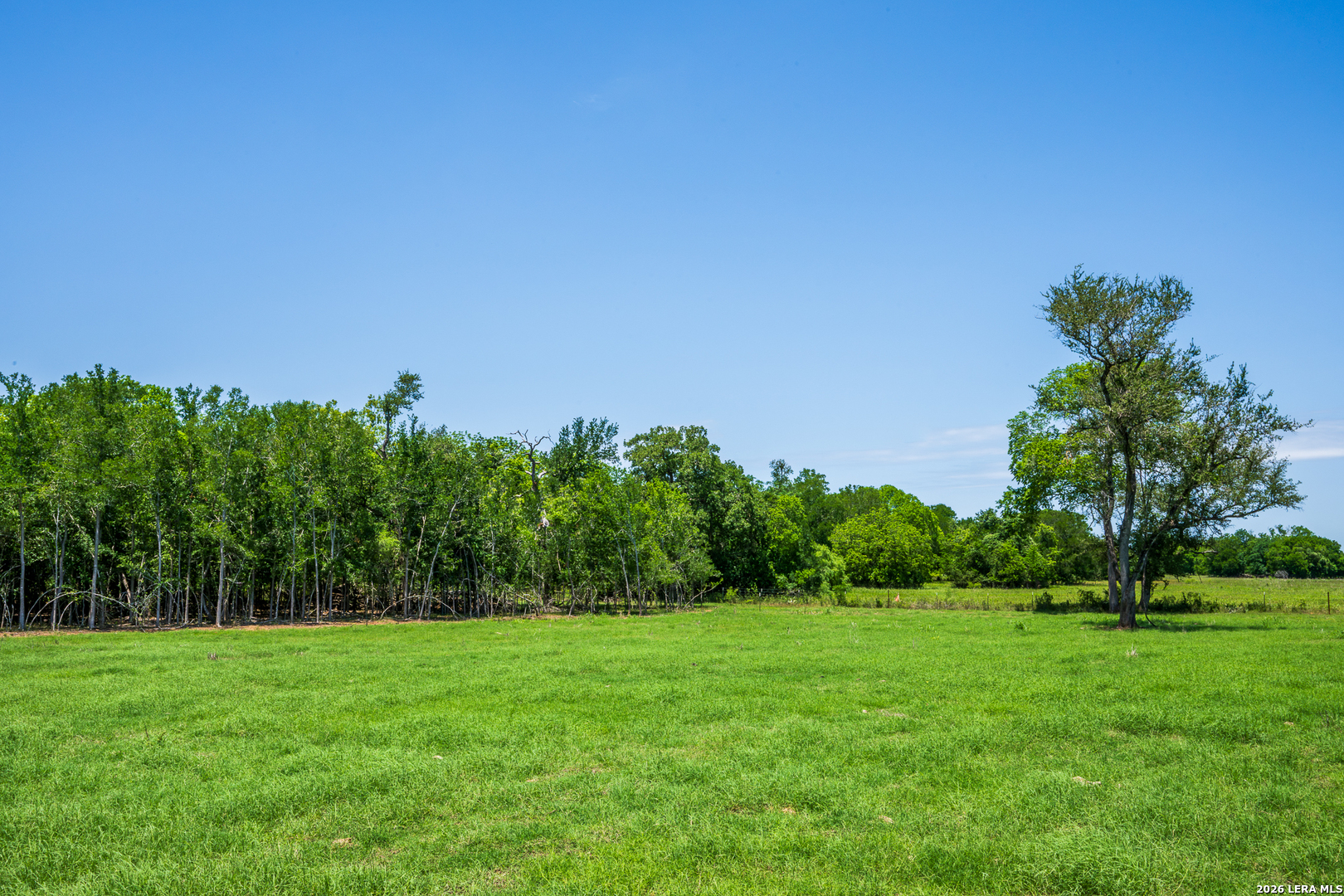 11259 N State Highway 80 Leesville TX 78122