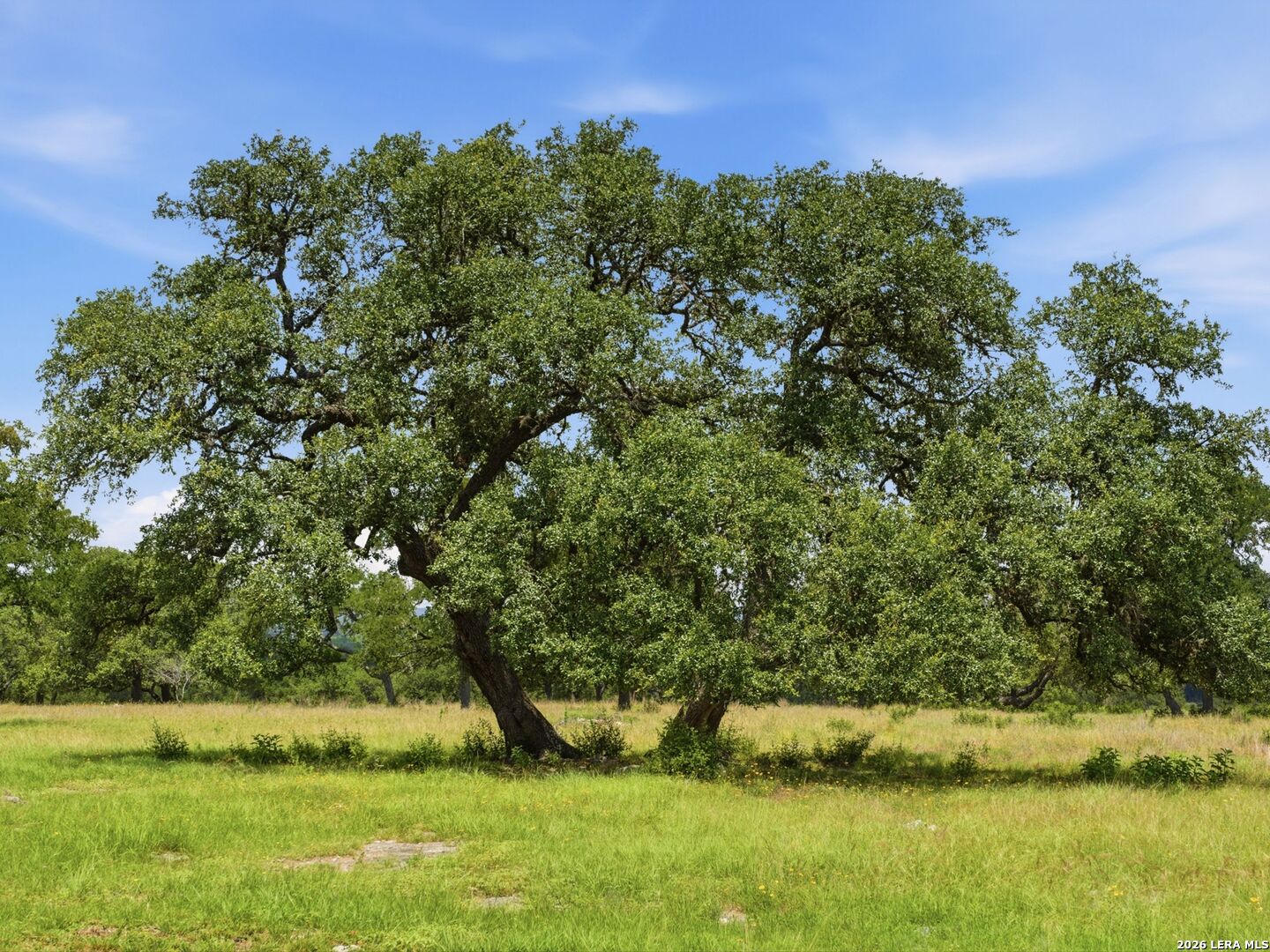 820 Fm 3351 Boerne TX 78006