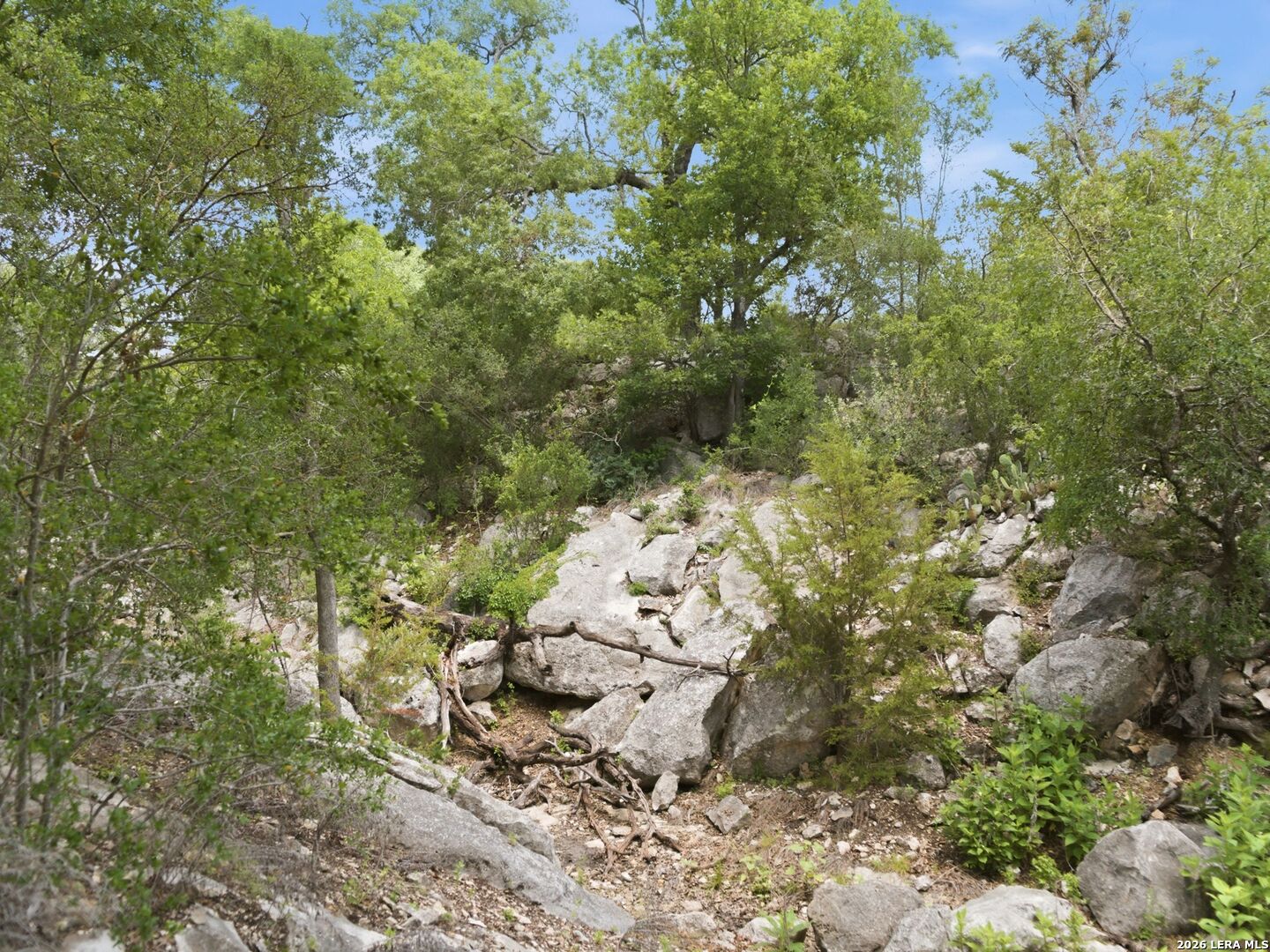 820 Fm 3351 Boerne TX 78006