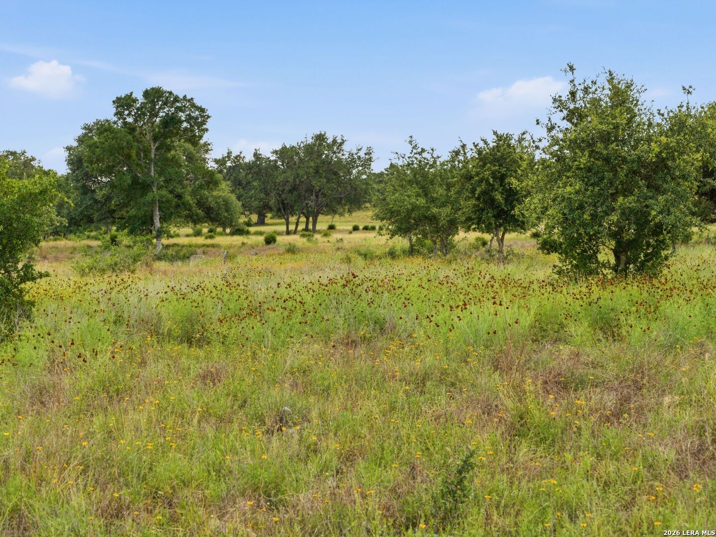 820 Fm 3351 Boerne TX 78006