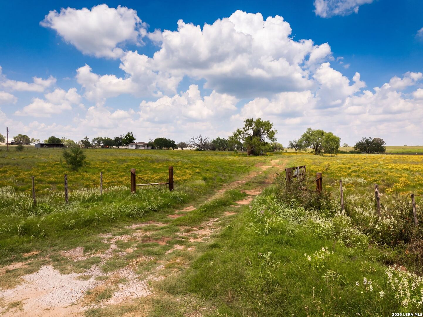 13841 Fm 775 La Vernia TX 78121