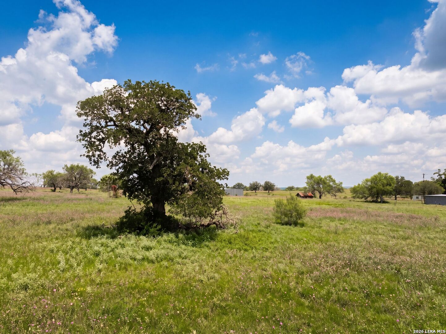13841 Fm 775 La Vernia TX 78121