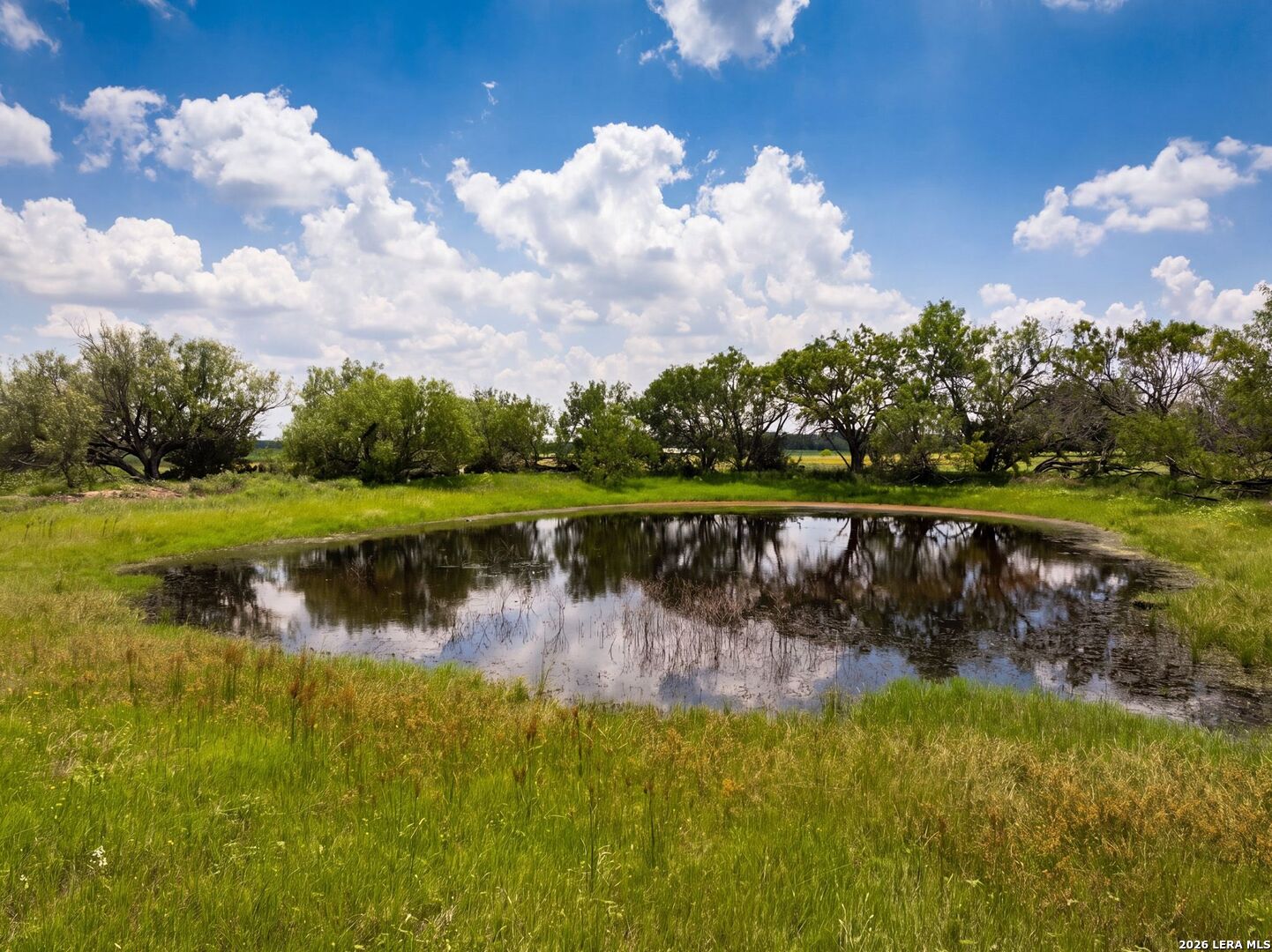 13841 Fm 775 La Vernia TX 78121