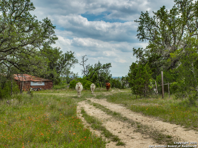 706 Paleface Ranch Road S Spicewood TX 78669