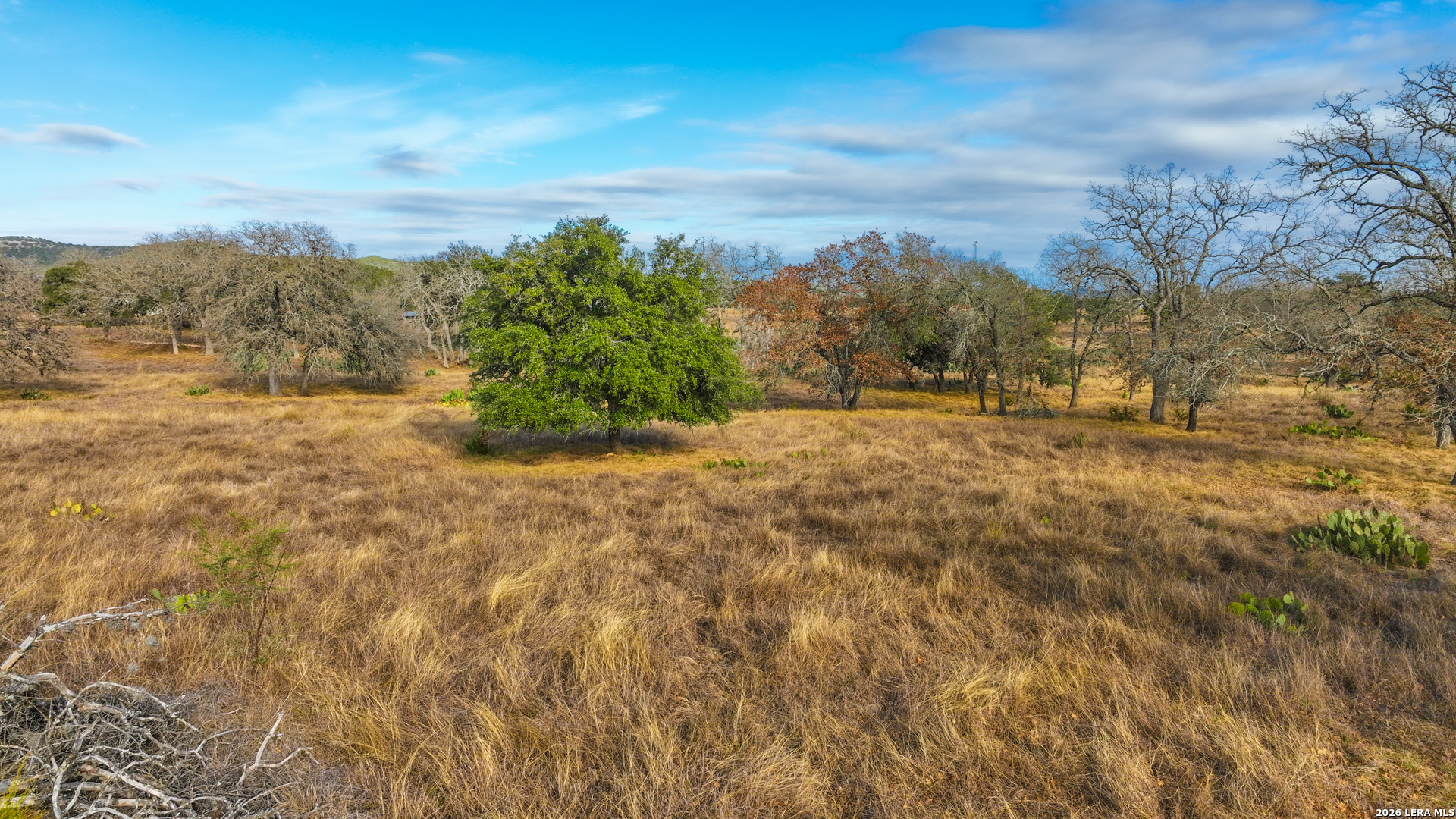 455 Hubble Medina TX 78055