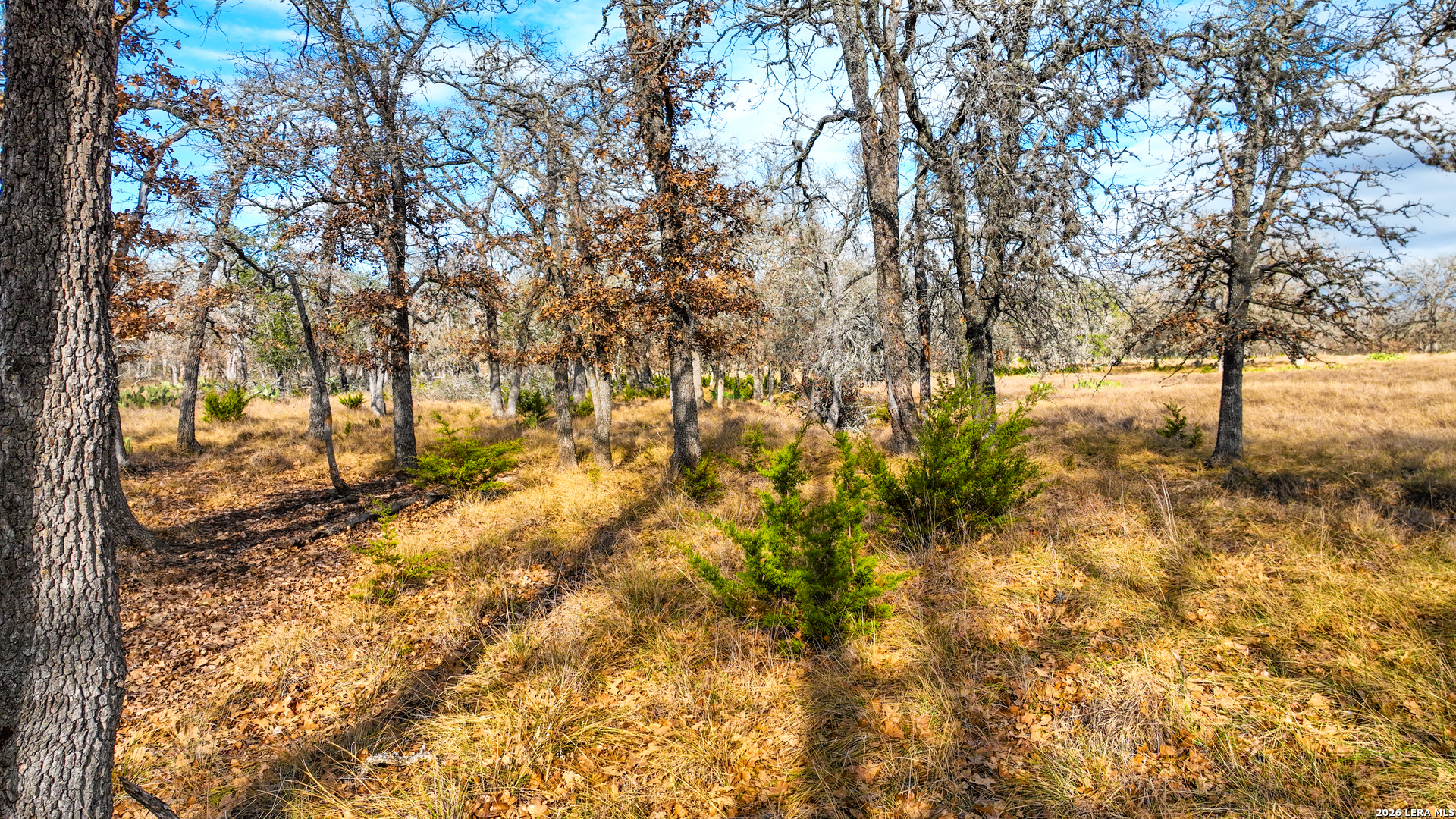 455 Hubble Medina TX 78055