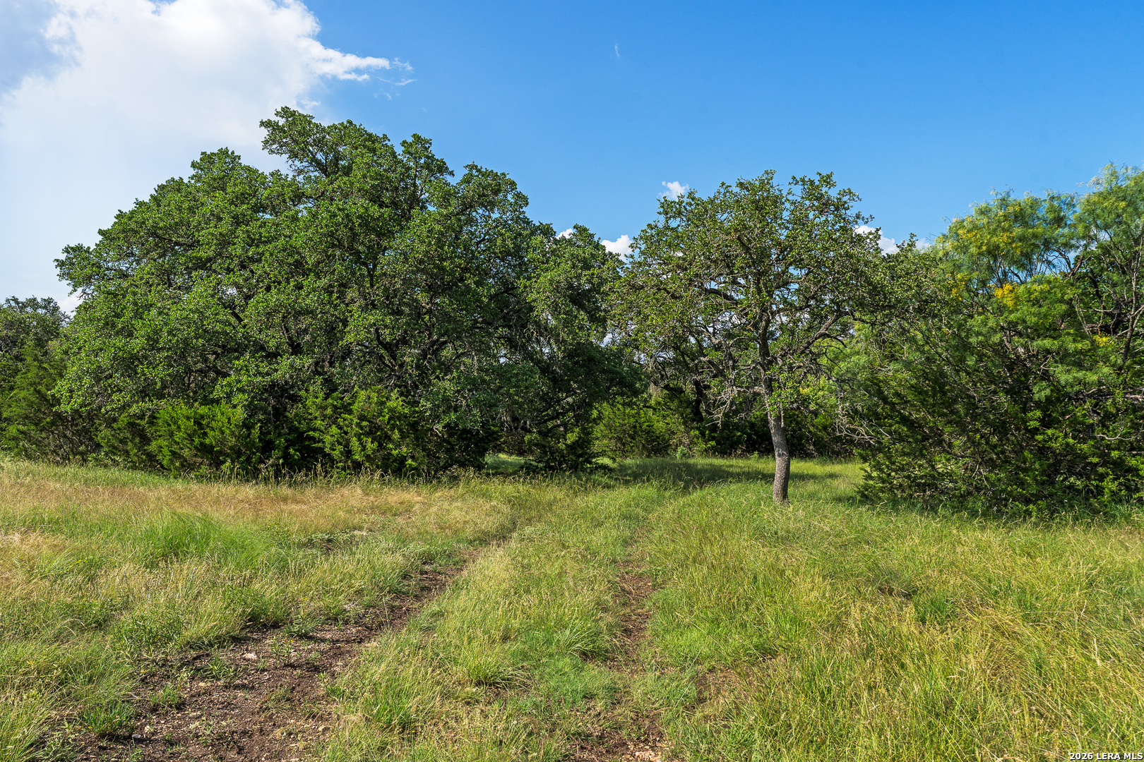Tbd Kc 442 Harper TX 78631