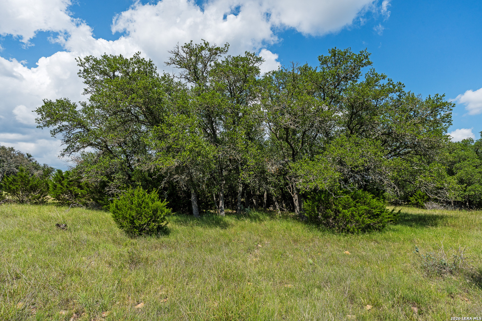 Tbd Kc 442 Harper TX 78631