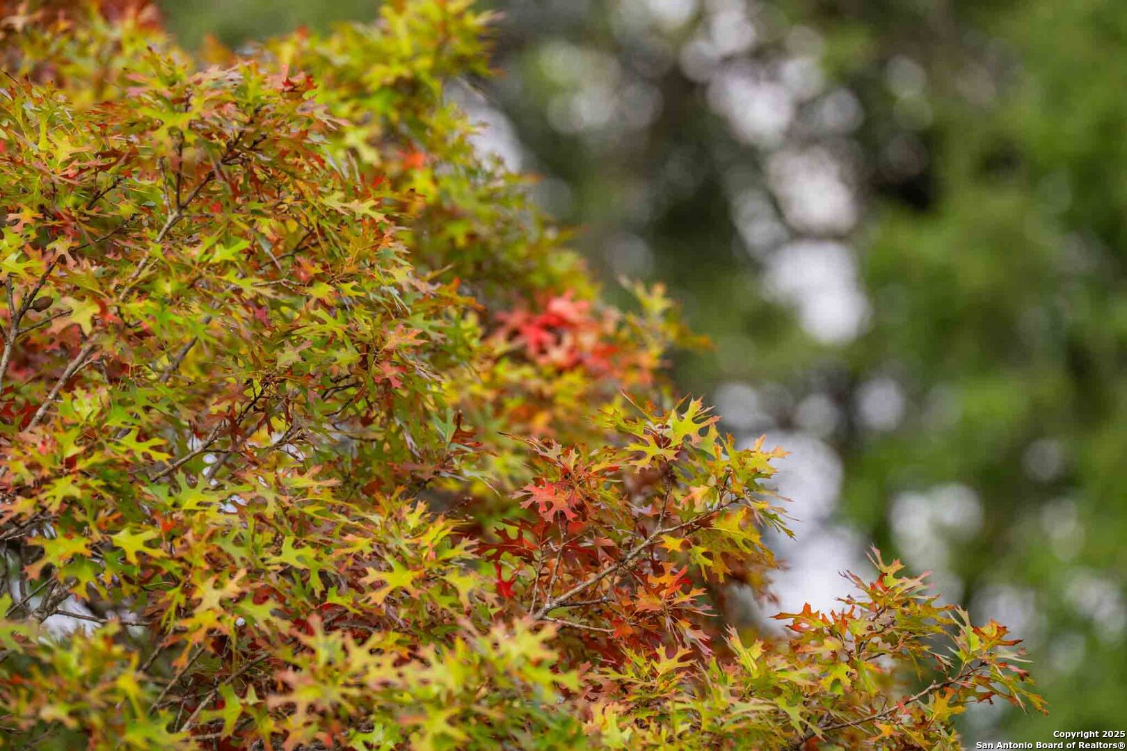 7625 N State Highway 16 Fredericksburg TX 78624